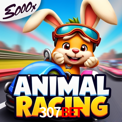 Interface Premium 307bet